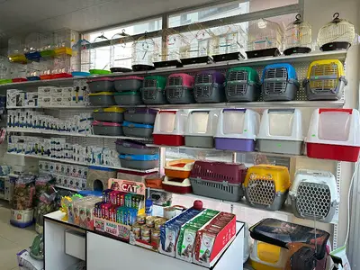 Uzmanlar Petshop ve Mama Dünyası