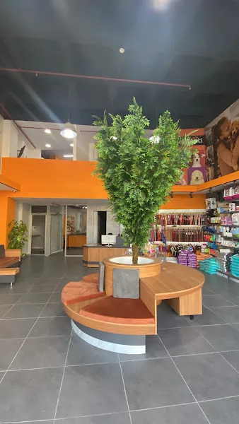Petimin Veteriner Kliniği | Beylikdüzü | İstanbul | Acil Veteriner foto 2