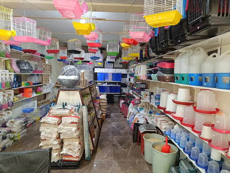Bereket petshop foto 2