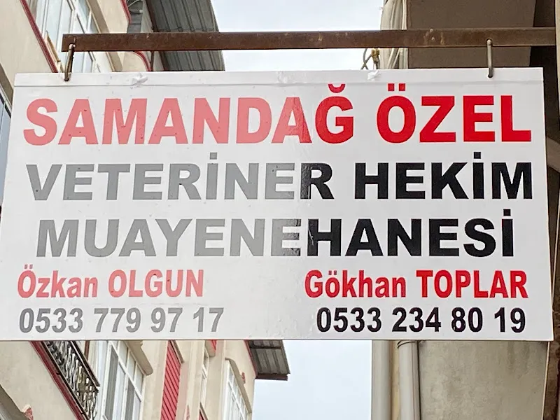 SAMANDAĞ ÖZEL VETERİNER HEKİM MUAYENEHANESİ ÖZKAN OLGUN & GÖKHAN TOPLAR foto 1