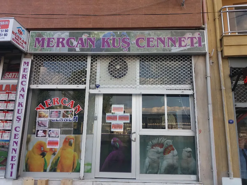 Mercan Petshop foto 1
