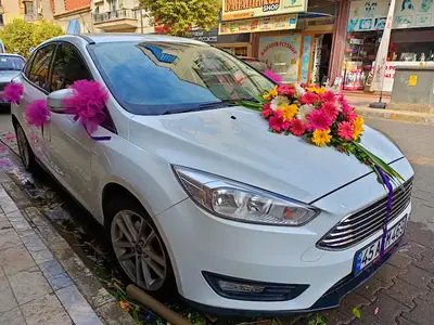 Bahadir Pet Shop