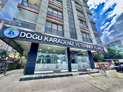hekim veteriner kliniği