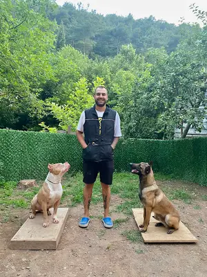 Dog Paradise Köpek Eğitim & Hizmetleri fotoğrafı