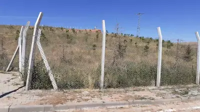 Sokak Hayvanları Rehabilitasyon Merkezi