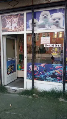 Ötüken Turkuaz Petshop