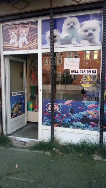 Ötüken Turkuaz Petshop foto 1
