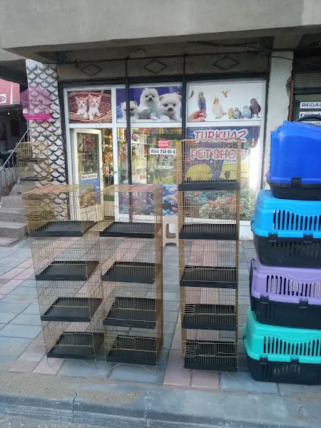 Ötüken Turkuaz Petshop foto 2