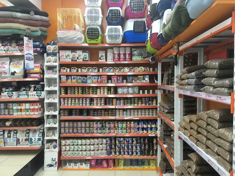 Ortaköy PetShop foto 2