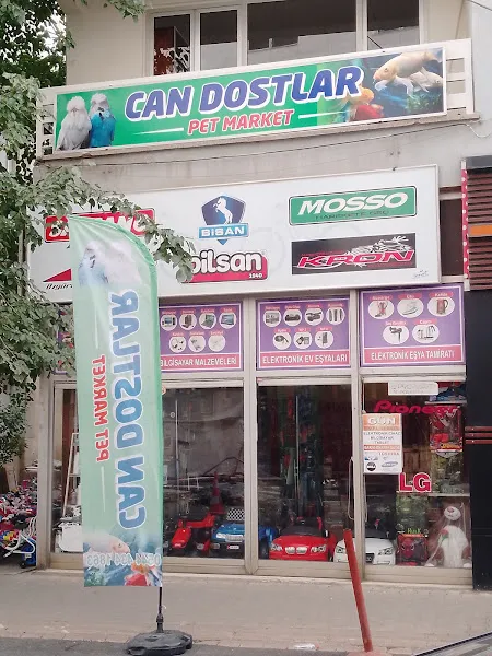 Bingöl candostlar petshop foto 1