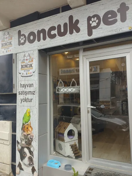Boncuk Pet Shop foto 2