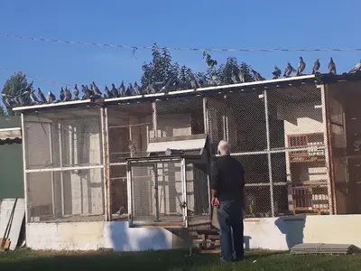 Sun Kennels Kedi ve Köpek Üretim Eğitim Çiftliği