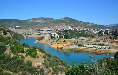 Tunceli Belediyesi Hayvan Barınağı