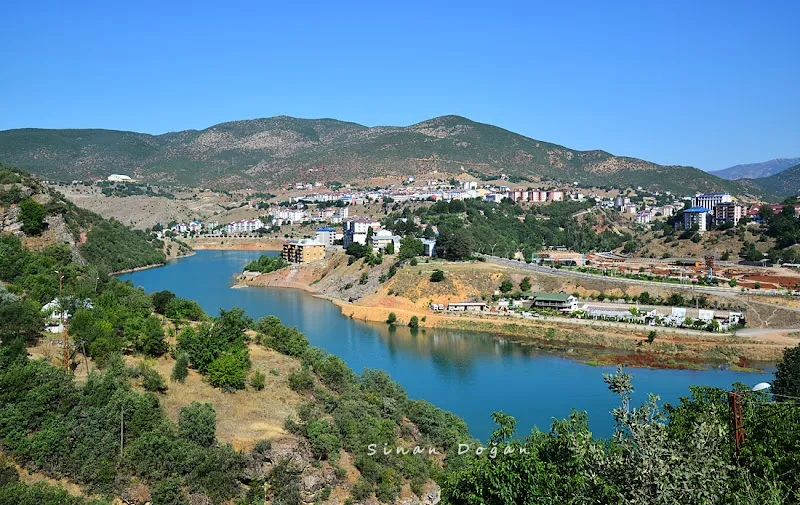 Tunceli Belediyesi Hayvan Barınağı foto 1