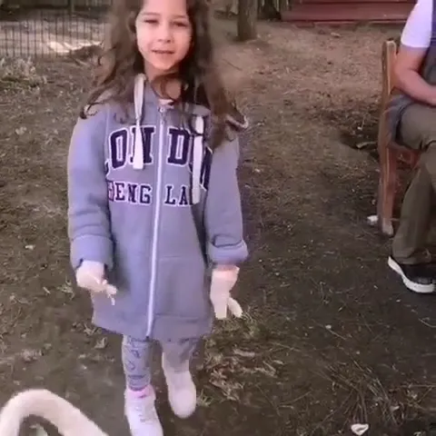 İstanbul Köpek Eğitmeni foto 2