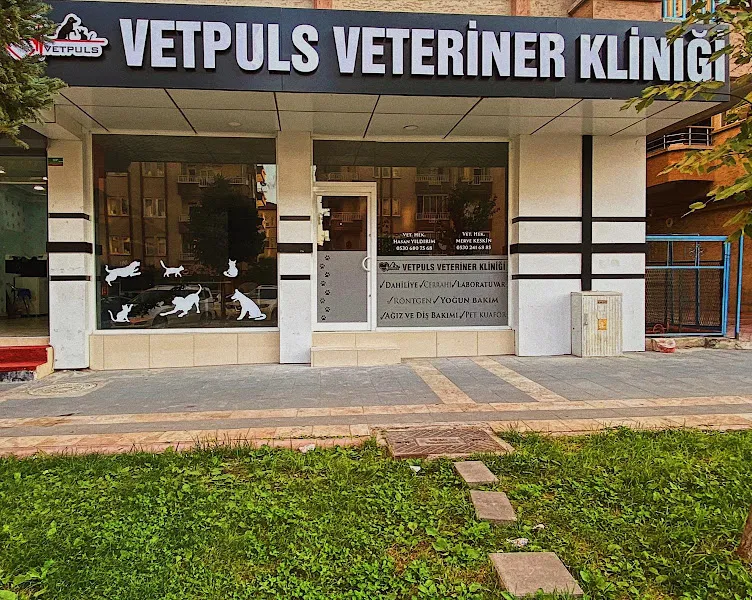 VetPuls Veteriner Kliniği foto 2