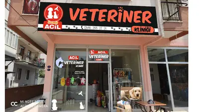 ÖDEMİŞ AÇIL VETERİNER KLİNİĞİ fotoğrafı