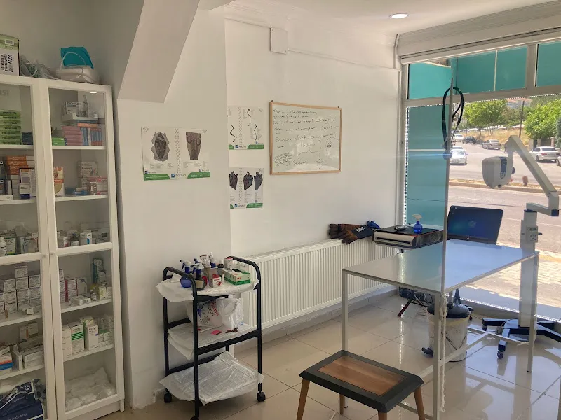 M.C.M. VETERİNER KLİNİĞİ foto 2