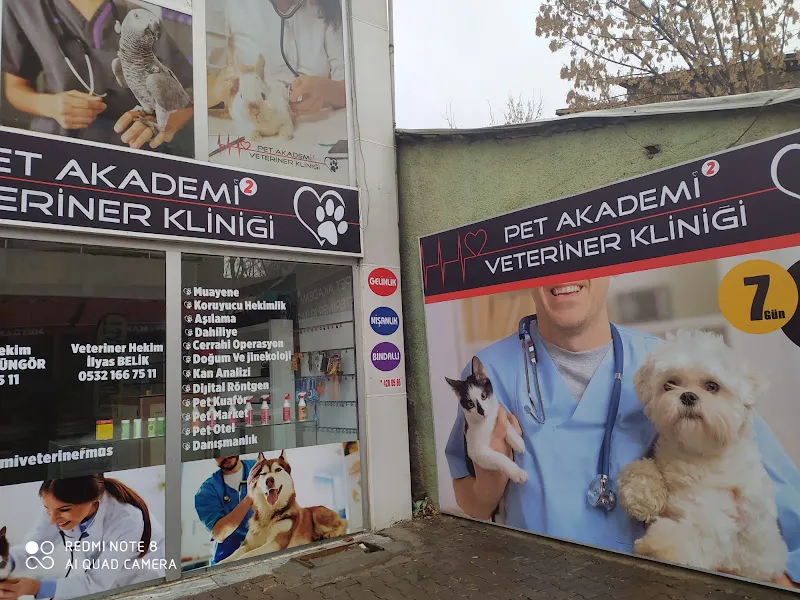 pet akademi veteriner kliniği foto 2