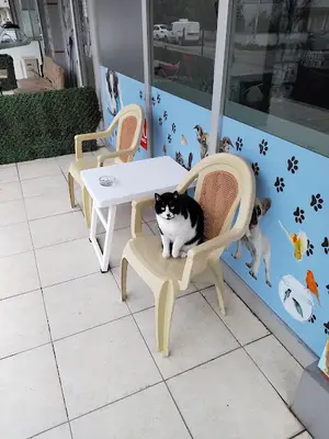 Göksu Veteriner Kliniği fotoğrafı