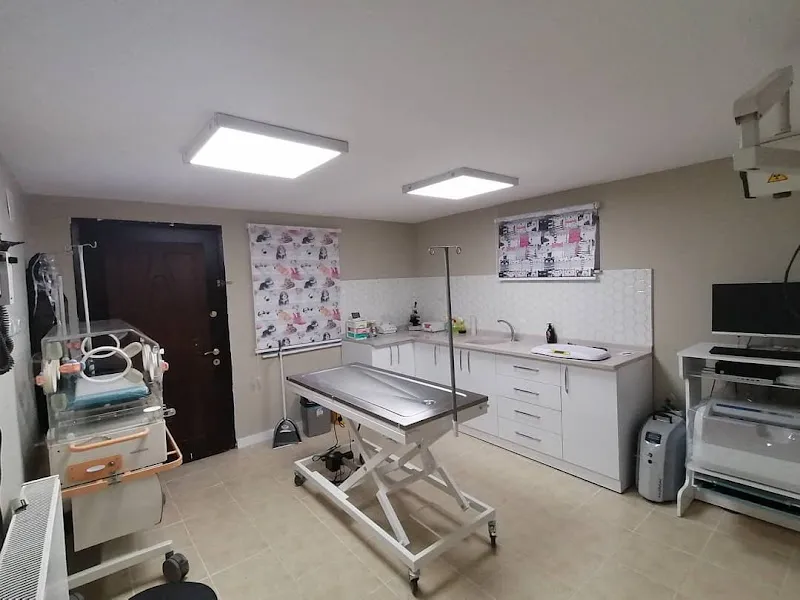 YİĞİT PET VETERİNER KLİNİĞİ foto 1