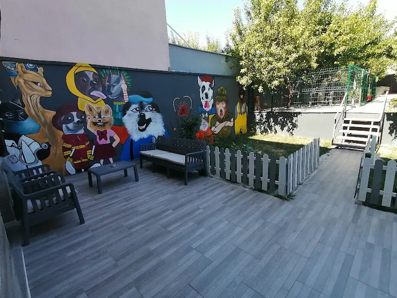 YİĞİT PET VETERİNER KLİNİĞİ foto 2