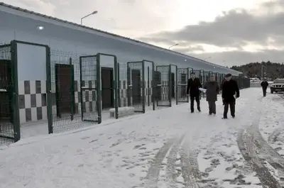 Kastamonu Belediyesi Geçici Hayvan Bakımevi