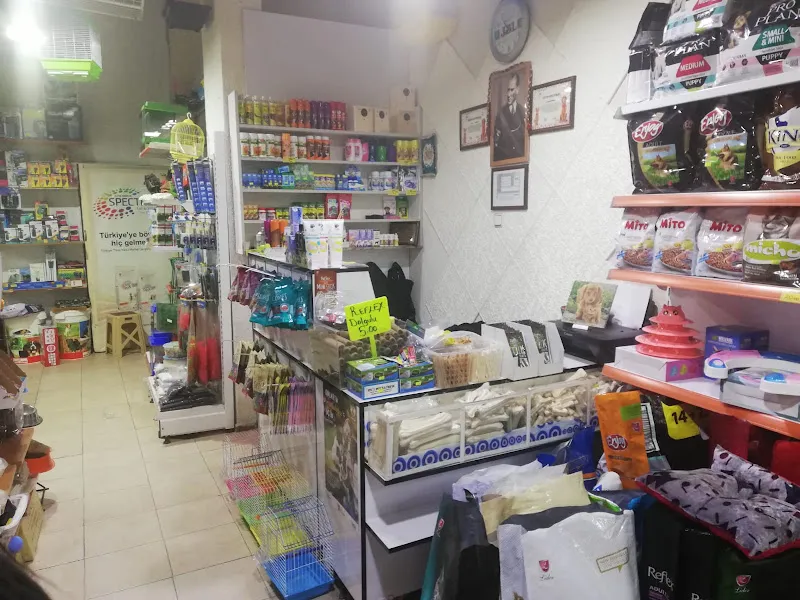 HAYLAZ PATİ PET SHOP foto 2
