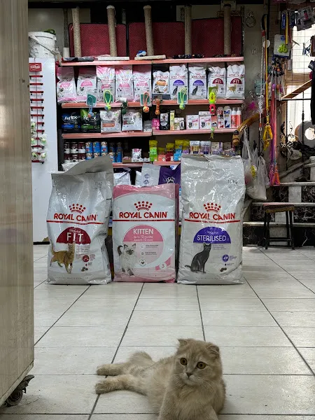 Berat Petshop Erzurum foto 2