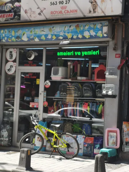 Singapur Pet Shop foto 1