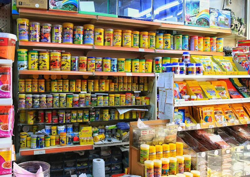 Singapur Pet Shop foto 2