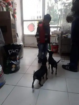 Arkadaş Pet Shop
