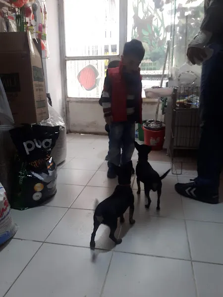 Arkadaş Pet Shop foto 1