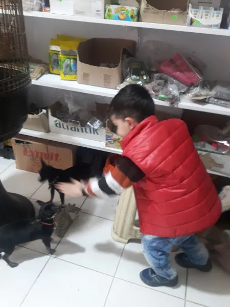 Arkadaş Pet Shop foto 2