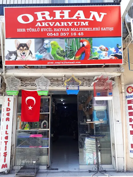 ORHAN AKVARYUM foto 1