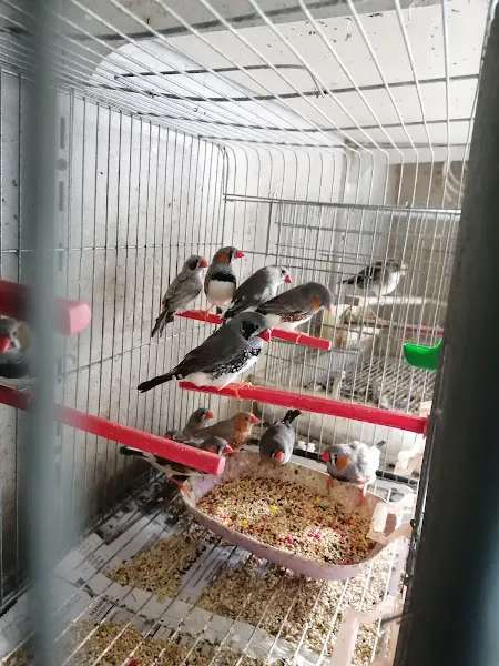 ORHAN AKVARYUM foto 2