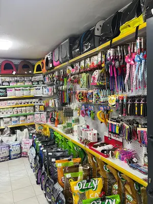 Tina Pet Yenişehir