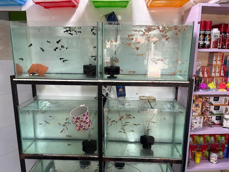 Osmaniye Pee Petshop foto 2