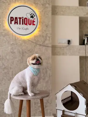 Diyarbakır Patique Pet Kuaför-Pet Otel-Pet Shop