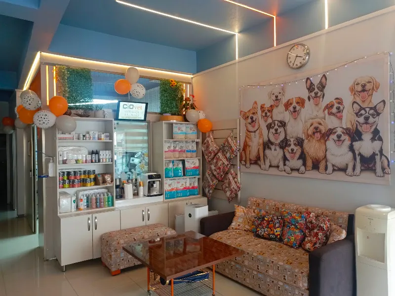 CioVet Veteriner Kliniği foto 1