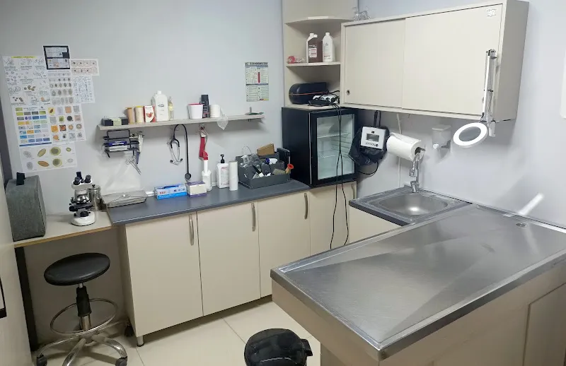 CioVet Veteriner Kliniği foto 2
