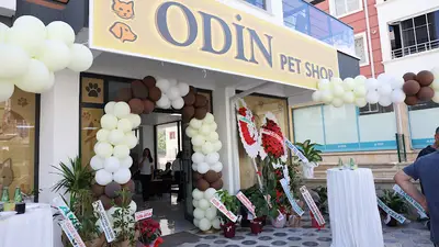odin pet shop