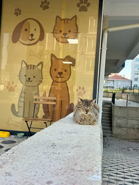 odin pet shop foto 2