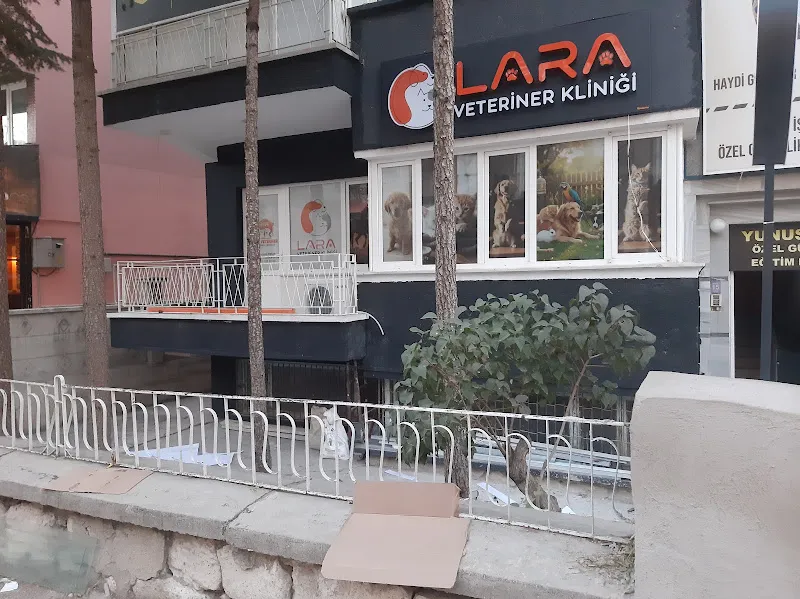LARA VETERİNER KLİNİĞİ foto 2