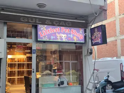 Littlest petshop