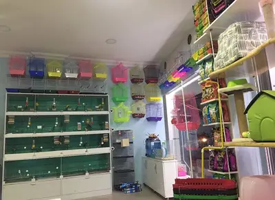 Sergen Pet Shop