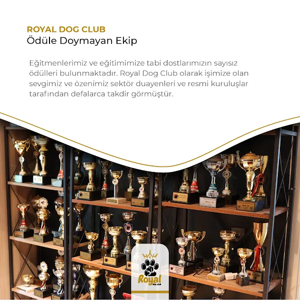 Royal Dog Club; Köpek Eğitim Merkezi, Köpek Oteli, Pansiyonu Polenezköy İstanbul foto 2