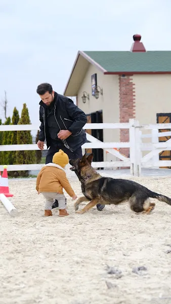 K9 Koleji - Köpek Eğitim Merkezi Bursa foto 2