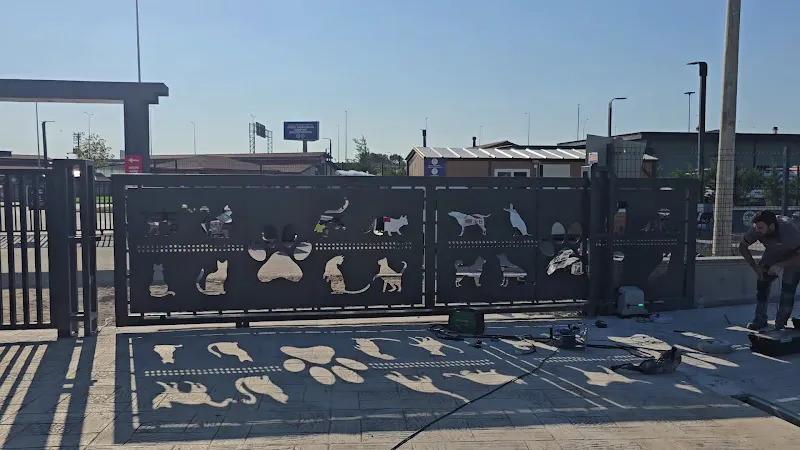 Sakarya büyükşehir belediyesi sokak hayvanları bakımevi ve rehabilitasyon merkezi (barınak)) foto 2