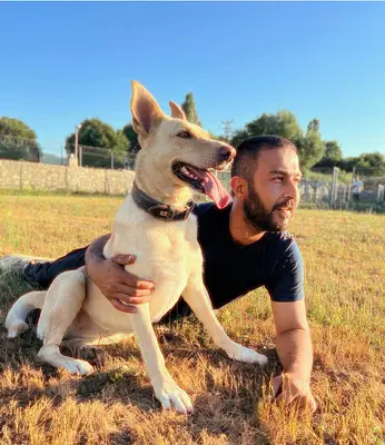 Dogmaster fotoğrafı